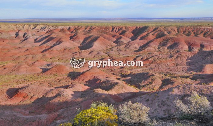 Painted Desert - gryphea.com